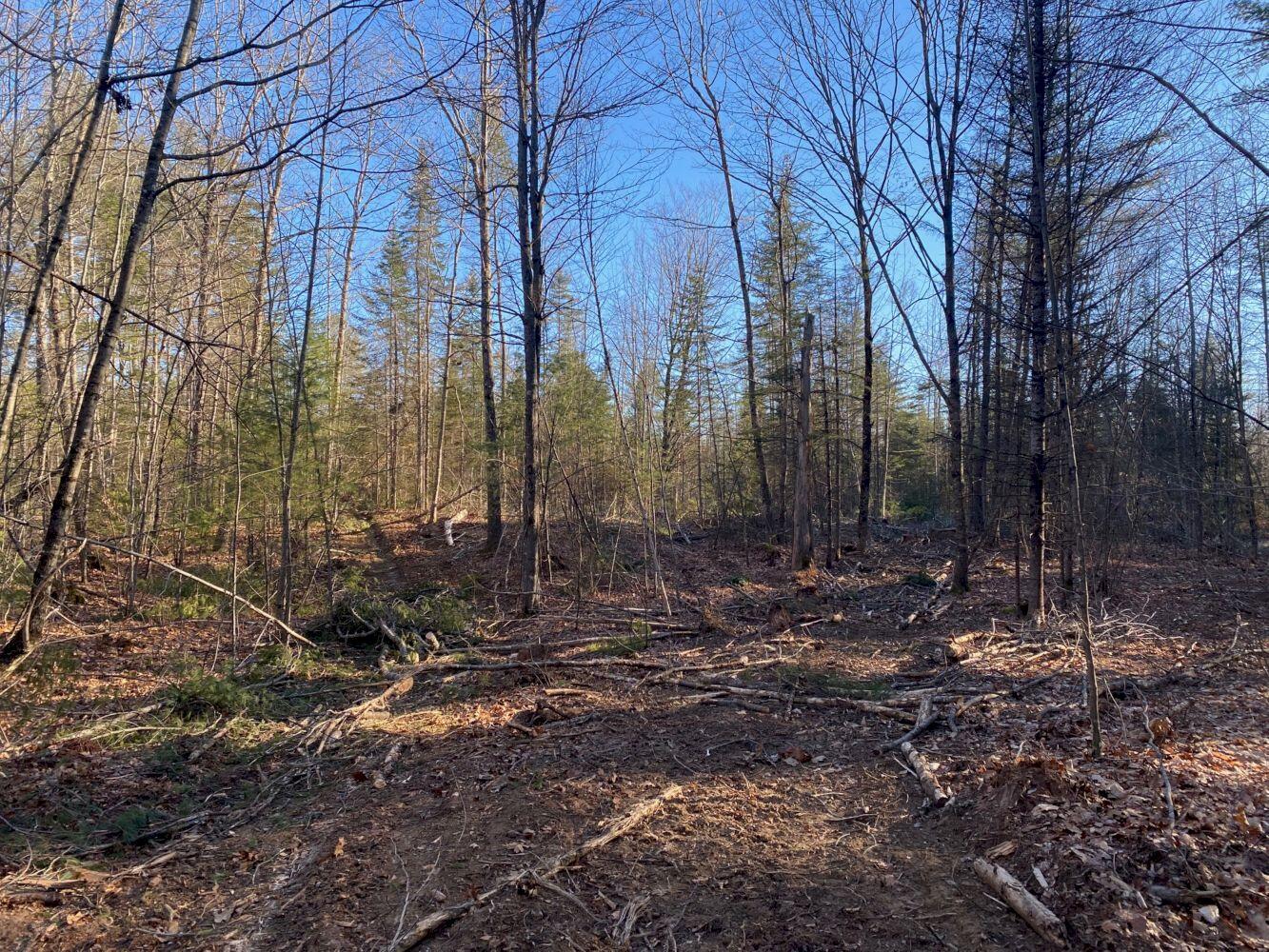 P/o M2-l31 P/o M2-l31 Walker Road Madison, ME 04950 - Photo 2 of 16 IMG_5980