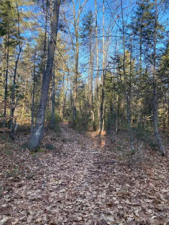 $55,000 | P/o M2-l31 P/o M2-l31 Walker Road, Madison, ME 04950