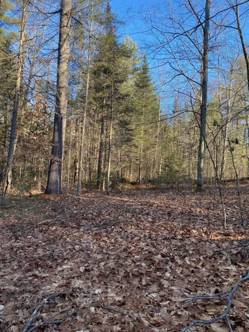 $55,000 | P/o M2-l31 P/o M2-l31 Walker Road, Madison, ME 04950