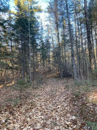 $55,000 | P/o M2-l31 P/o M2-l31 Walker Road, Madison, ME 04950