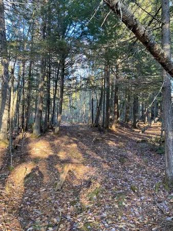 $55,000 | P/o M2-l31 P/o M2-l31 Walker Road, Madison, ME 04950