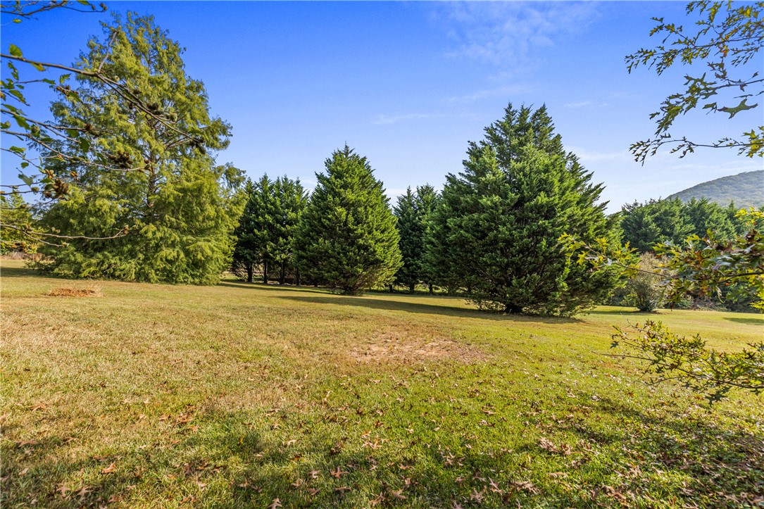 103 Ivey Hayes Road Pickens, SC 29671 - Photo 8 of 41