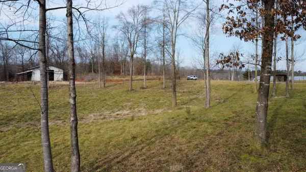 a view of a garden