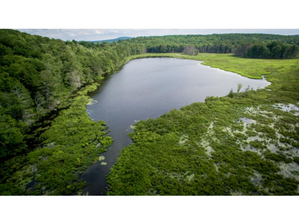 143 Lull Road New Boston, NH 03070 - Photo 2 of 22