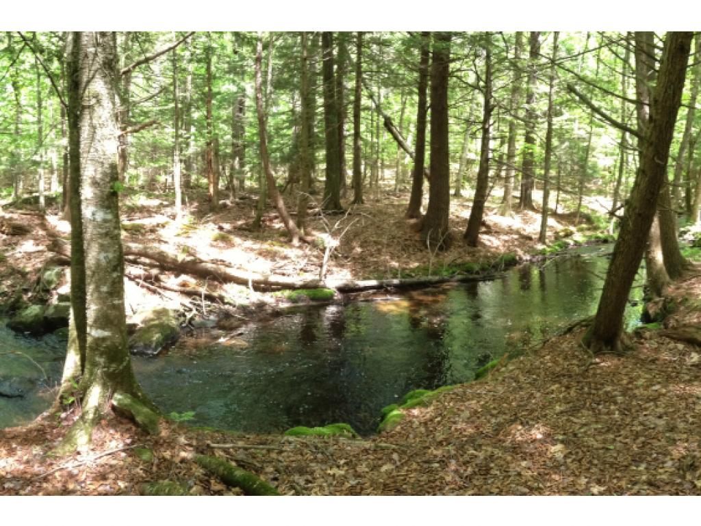 143 Lull Road New Boston, NH 03070 - Photo 11 of 22