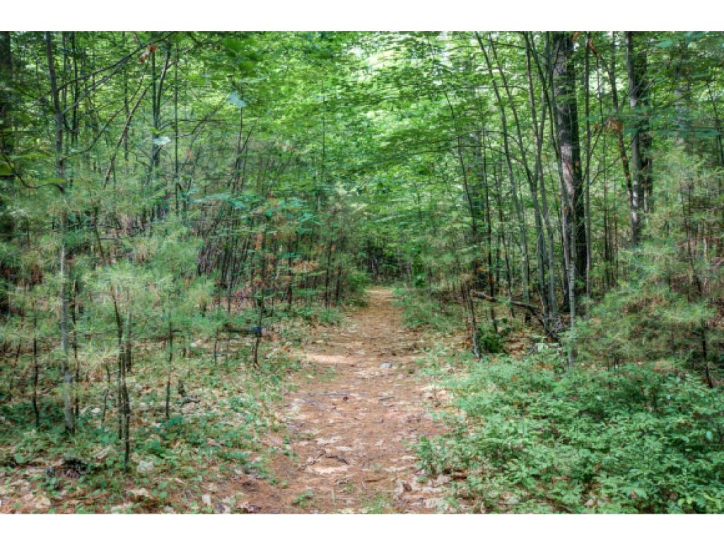 143 Lull Road New Boston, NH 03070 - Photo 12 of 22