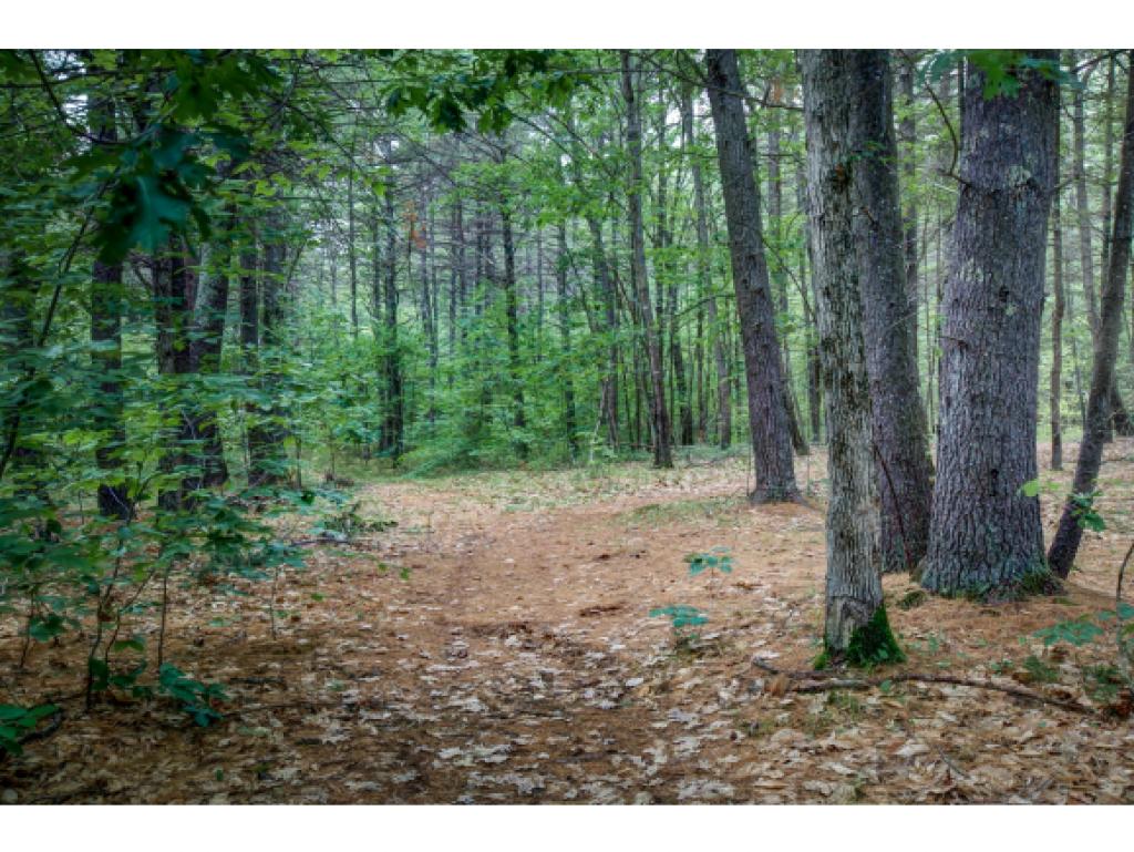 143 Lull Road New Boston, NH 03070 - Photo 13 of 22