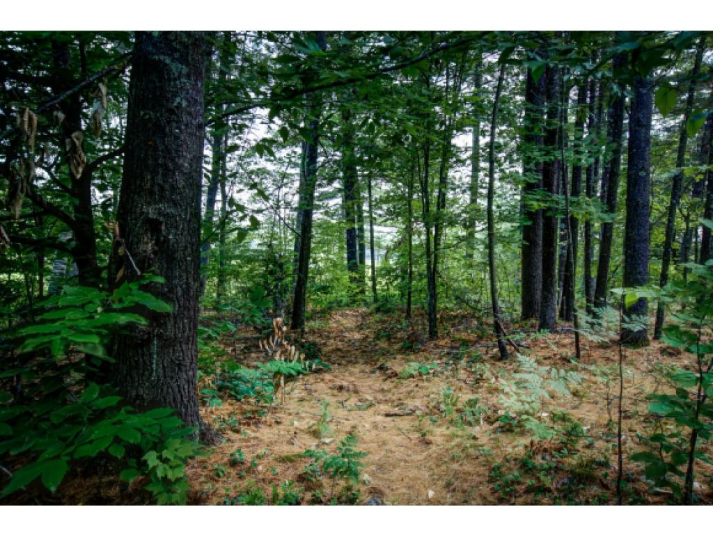143 Lull Road New Boston, NH 03070 - Photo 14 of 22