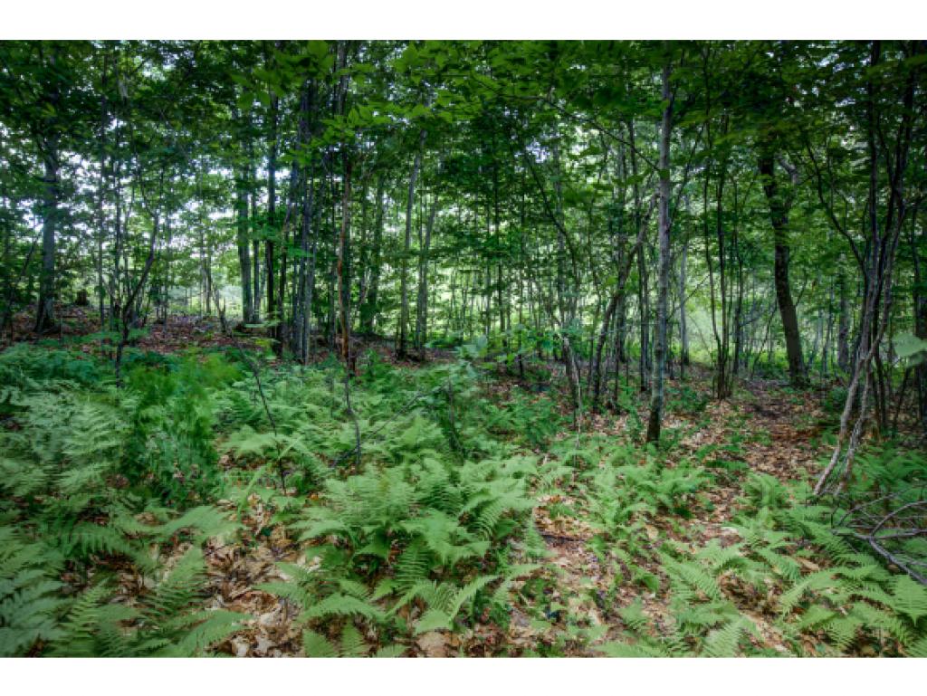 143 Lull Road New Boston, NH 03070 - Photo 16 of 22
