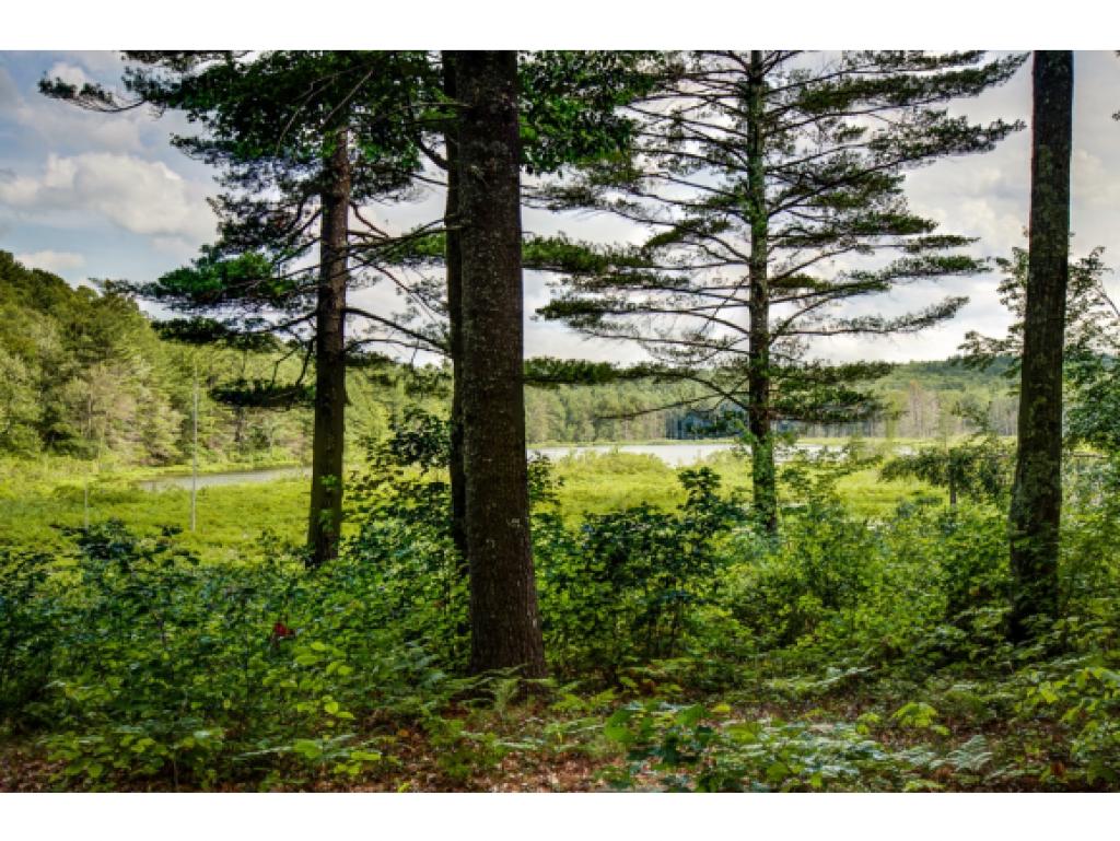 143 Lull Road New Boston, NH 03070 - Photo 6 of 22