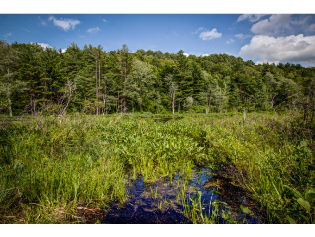 143 Lull Road New Boston, NH 03070 - Photo 8 of 22