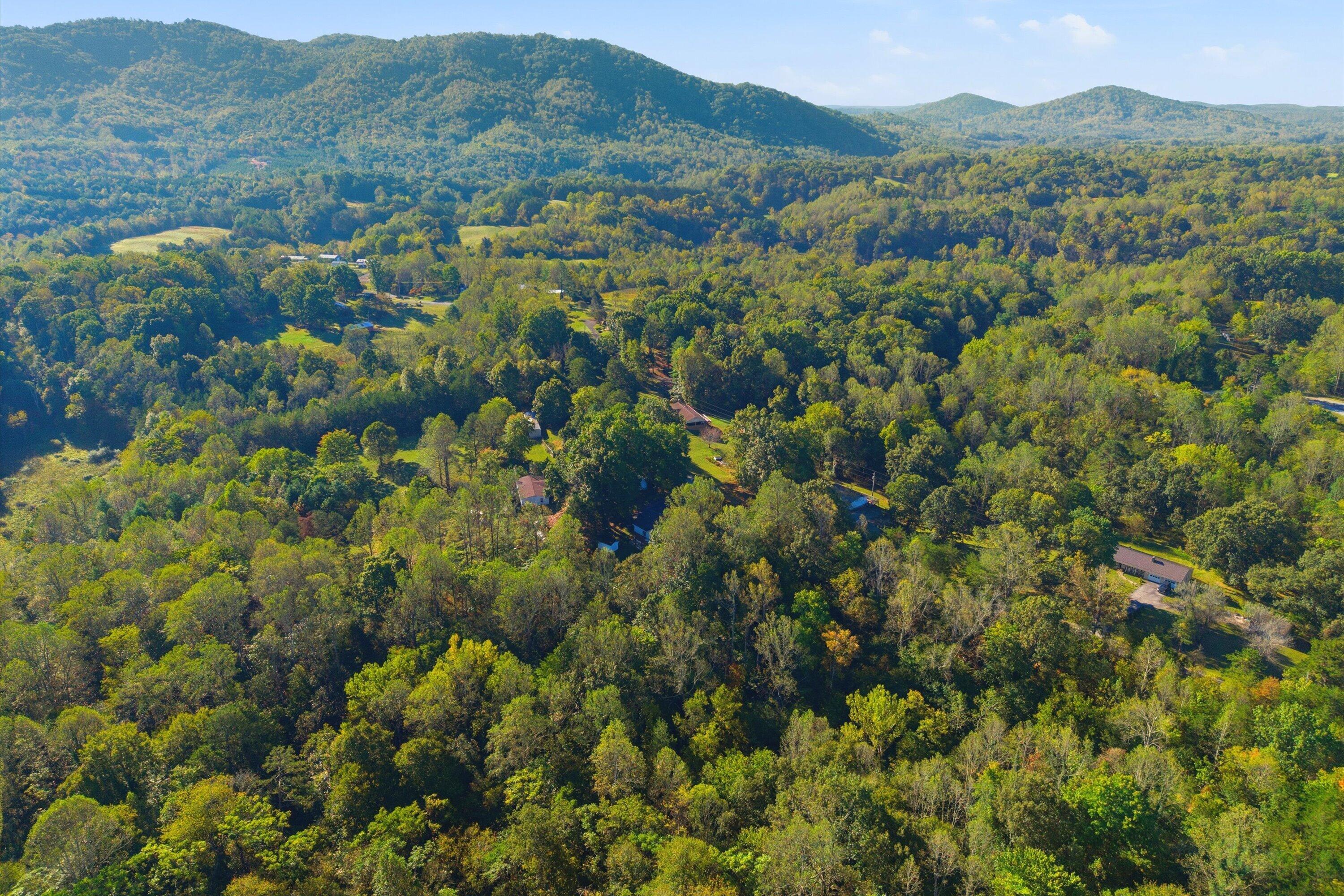 2636 Nester Road Thaxton, VA 24174 - Photo 71 of 75 71-025_DJI_20261007093500_0020_D-83