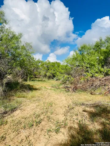 a view of a yard with swimming pool