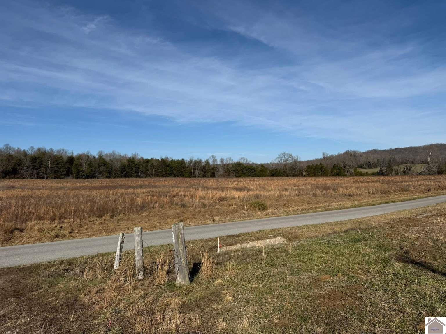 2052 Olney Road Princeton, KY 42445 - Photo 2 of 5 Photo 2