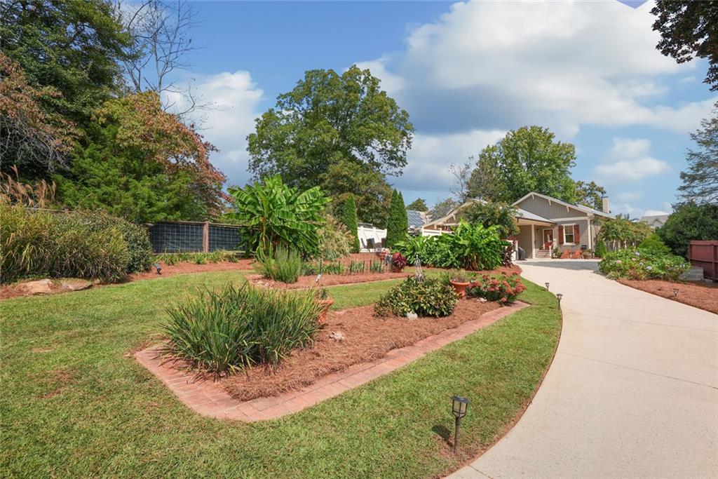 745 Washington Street Clarkesville, GA 30523 - Photo 23 of 54 a view of a house with a yard and potted plants