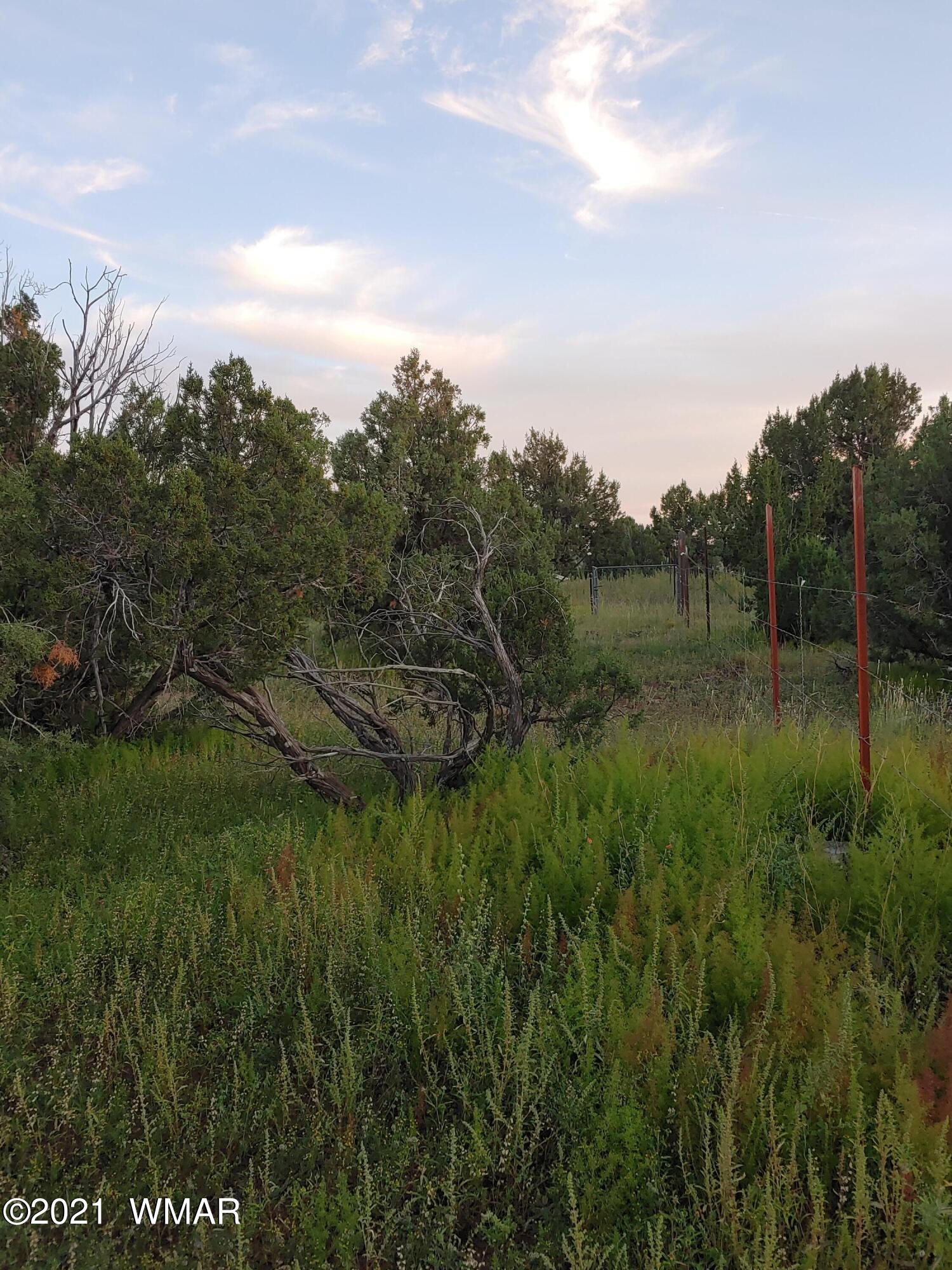 Tbd Weber Way Show Low, AZ 85901 - Photo 11 of 17