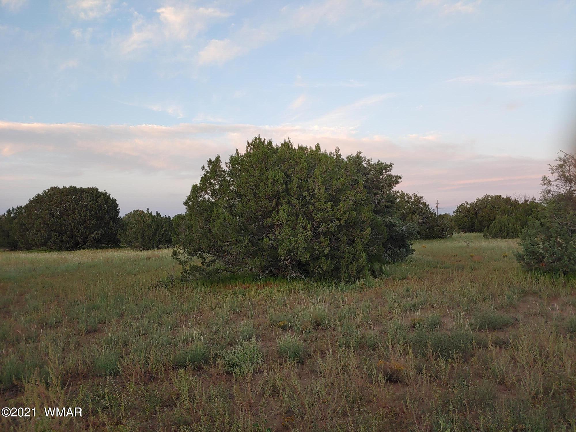 Tbd Weber Way Show Low, AZ 85901 - Photo 12 of 17