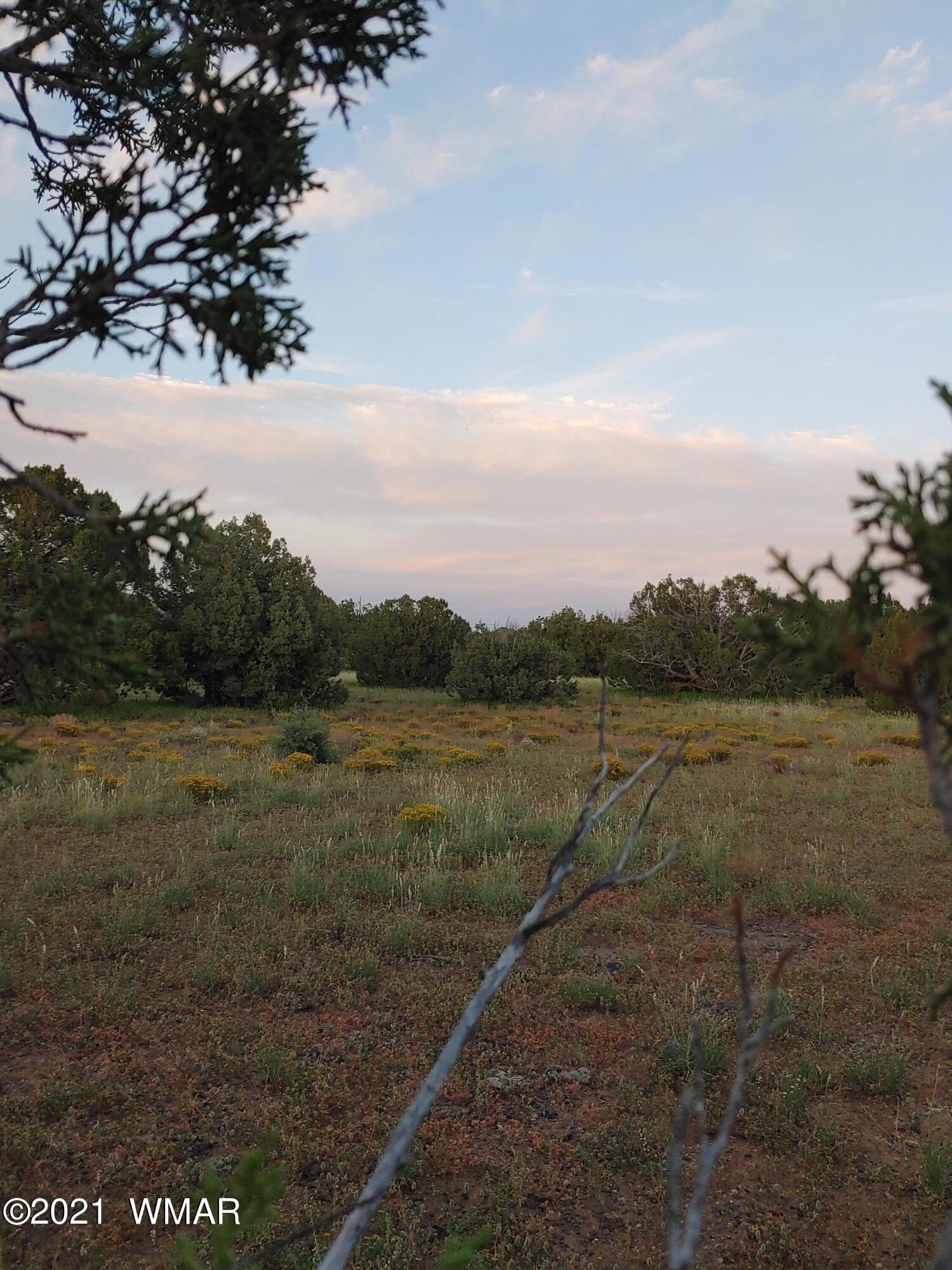 Tbd Weber Way Show Low, AZ 85901 - Photo 13 of 17