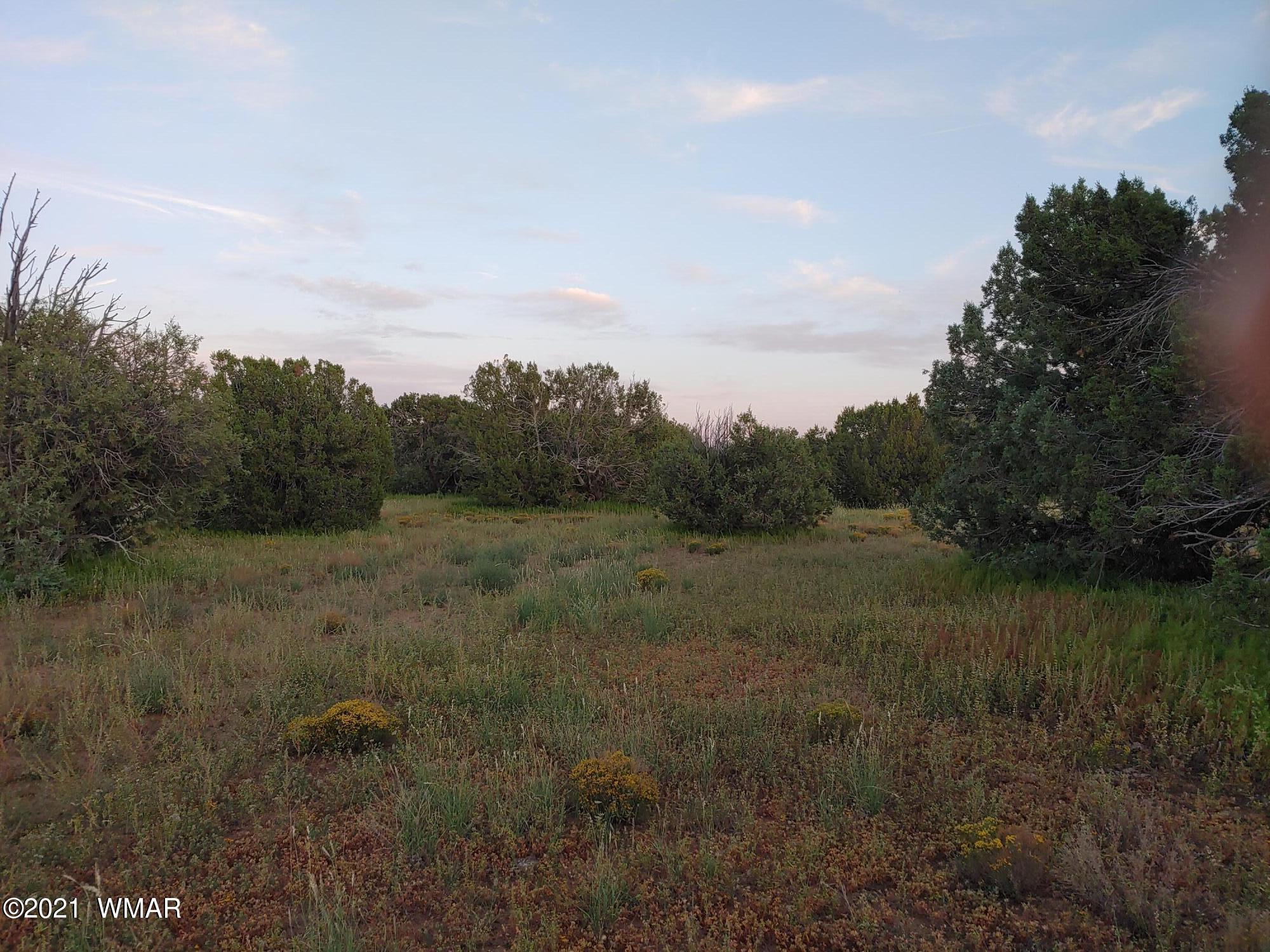 Tbd Weber Way Show Low, AZ 85901 - Photo 14 of 17