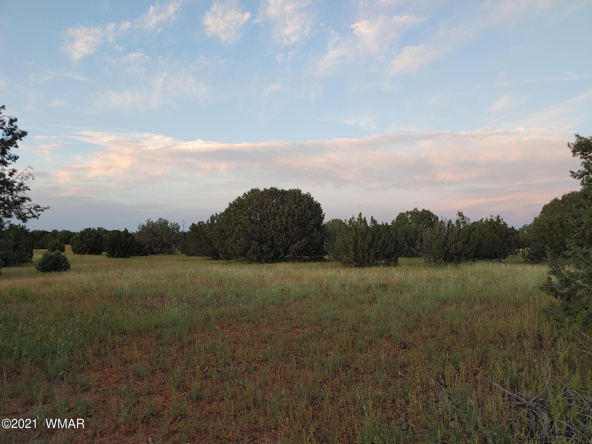 Tbd Weber Way Show Low, AZ 85901 - Photo 15 of 17