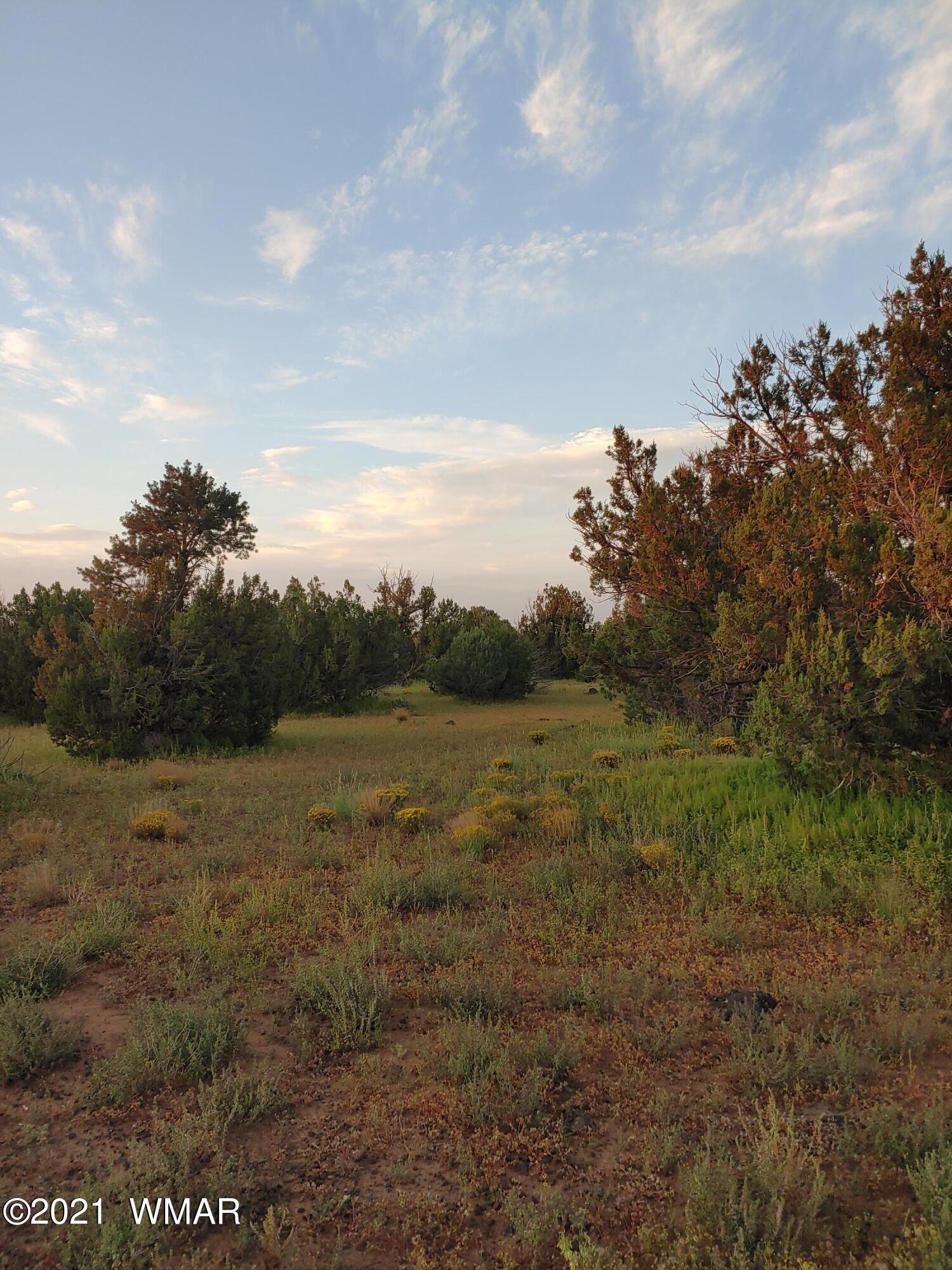 Tbd Weber Way Show Low, AZ 85901 - Photo 2 of 17