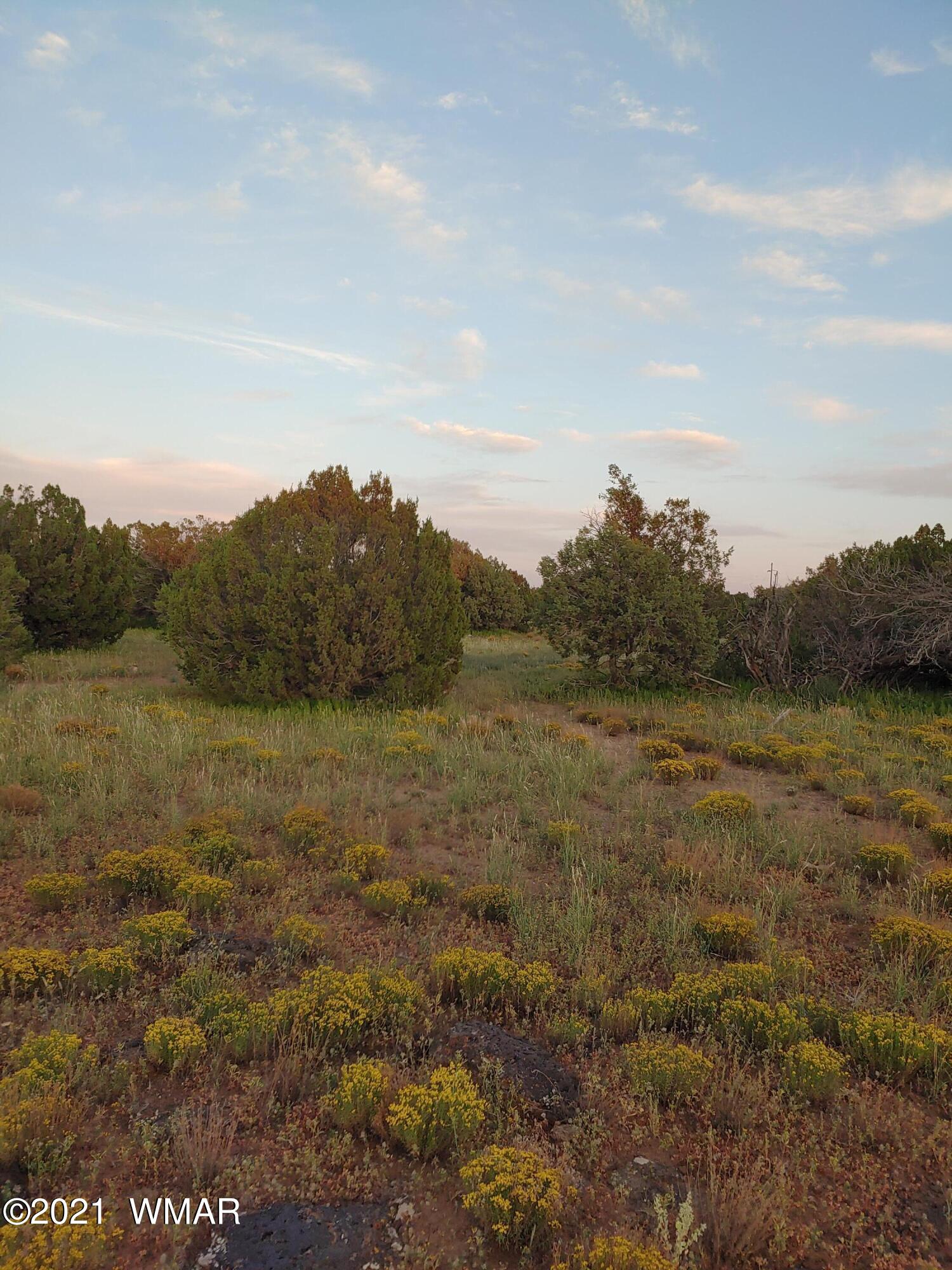 Tbd Weber Way Show Low, AZ 85901 - Photo 3 of 17