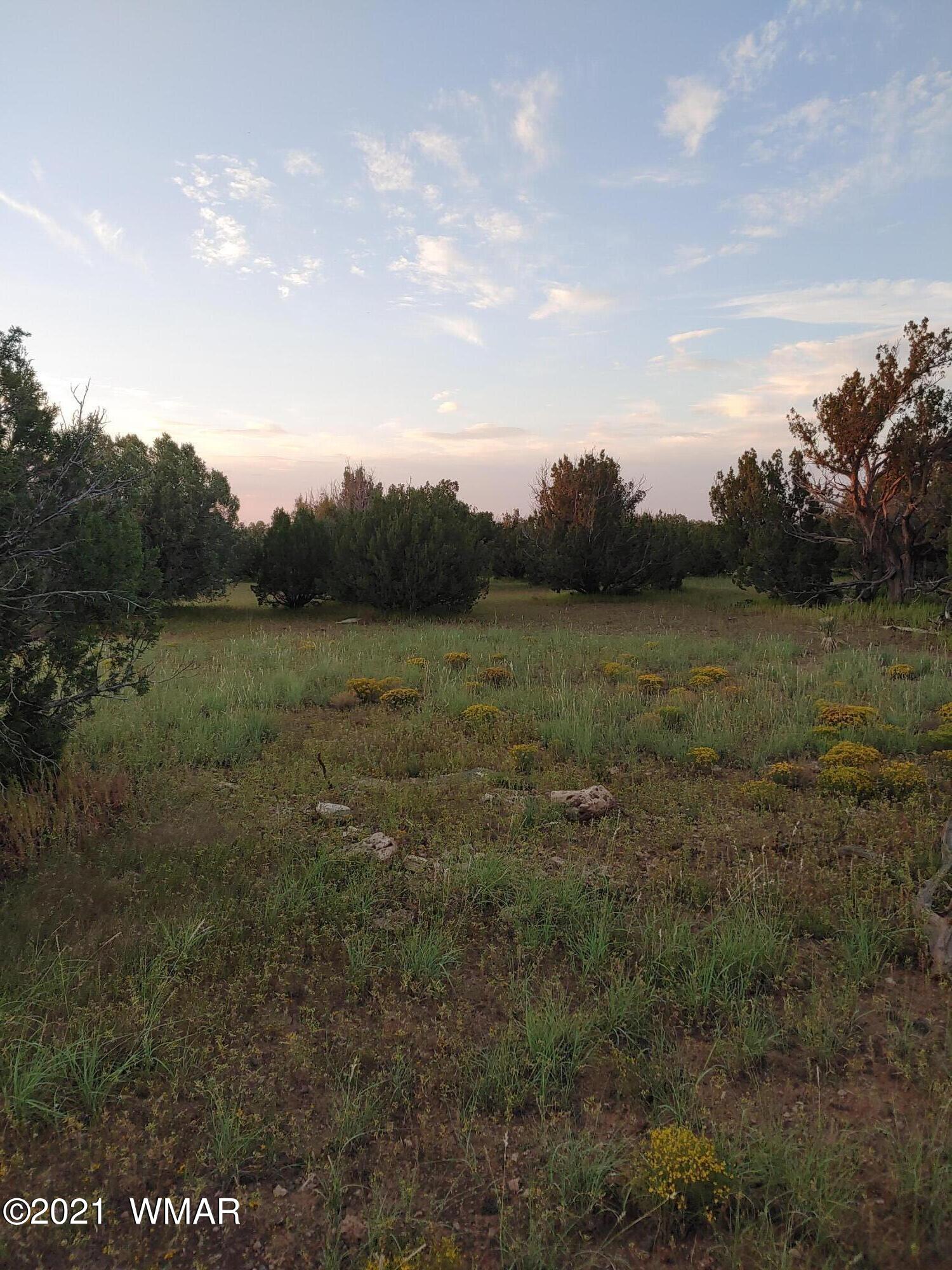 Tbd Weber Way Show Low, AZ 85901 - Photo 4 of 17