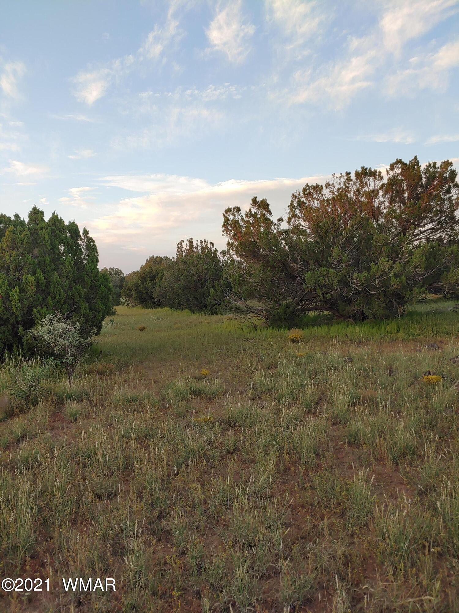 Tbd Weber Way Show Low, AZ 85901 - Photo 5 of 17