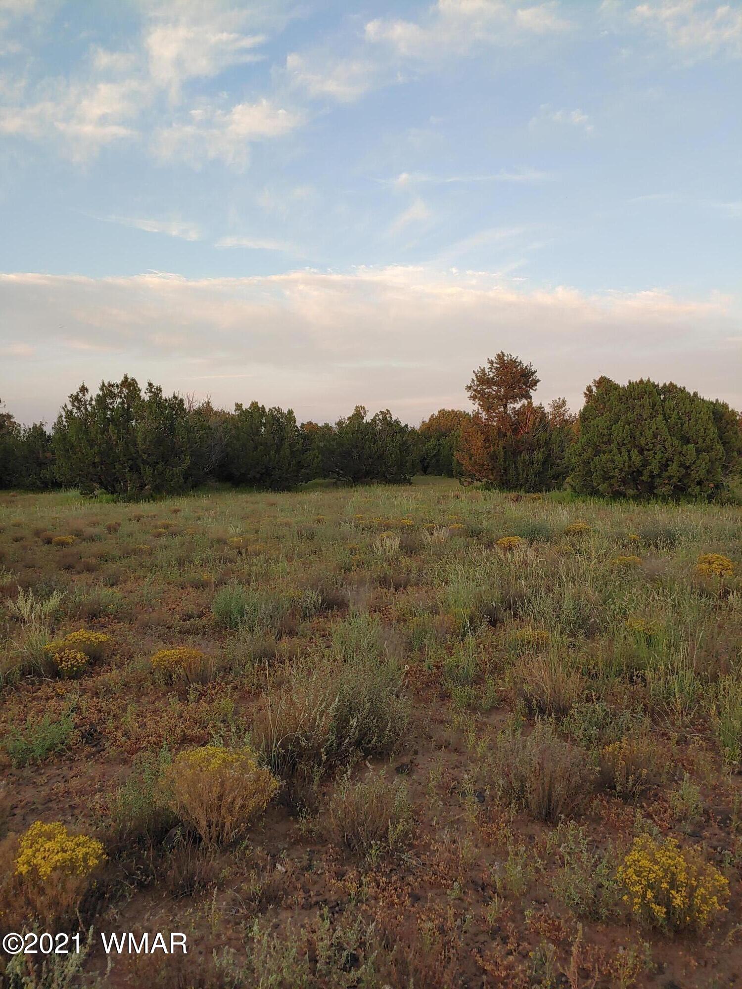 Tbd Weber Way Show Low, AZ 85901 - Photo 6 of 17