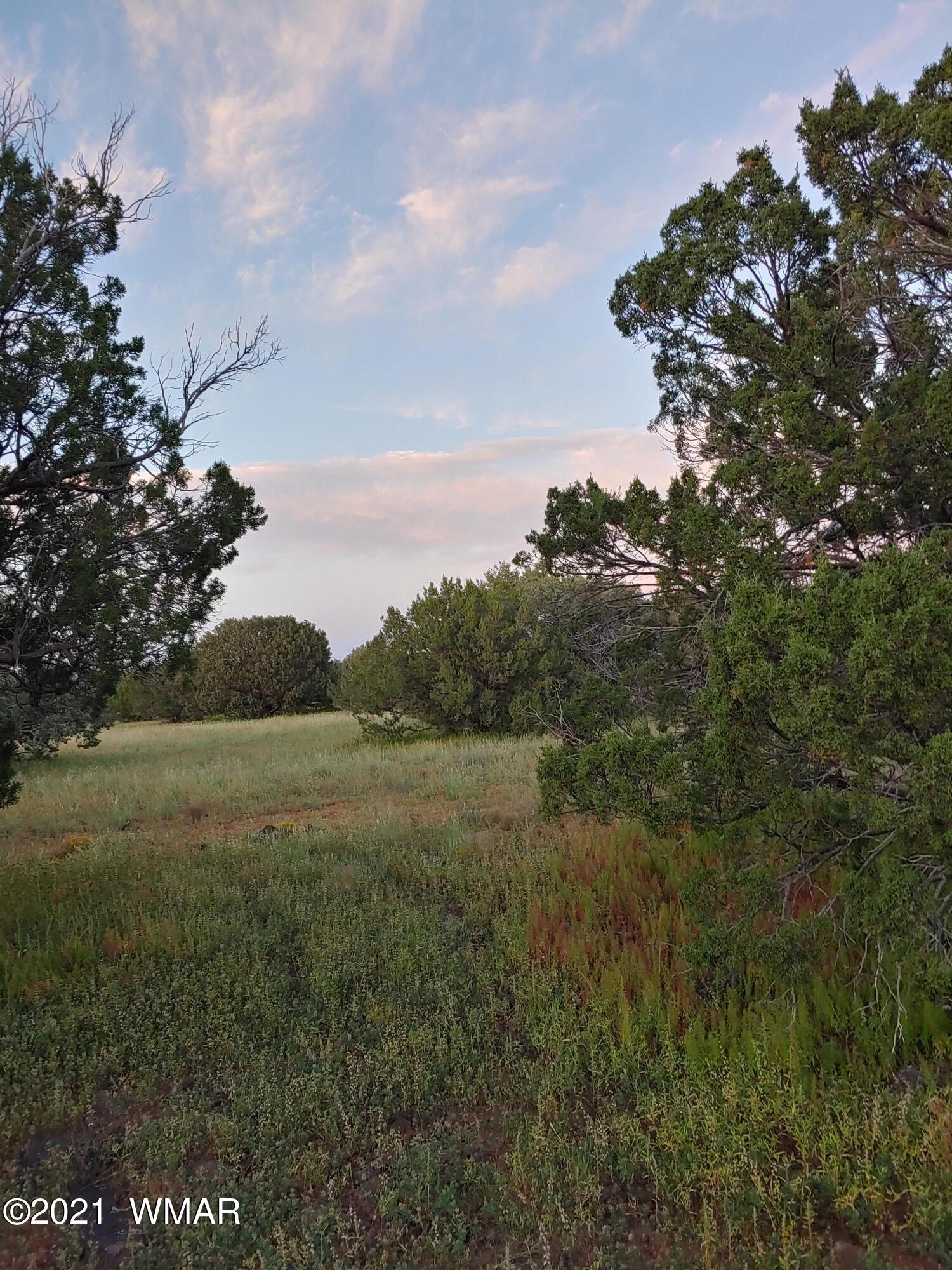 Tbd Weber Way Show Low, AZ 85901 - Photo 7 of 17