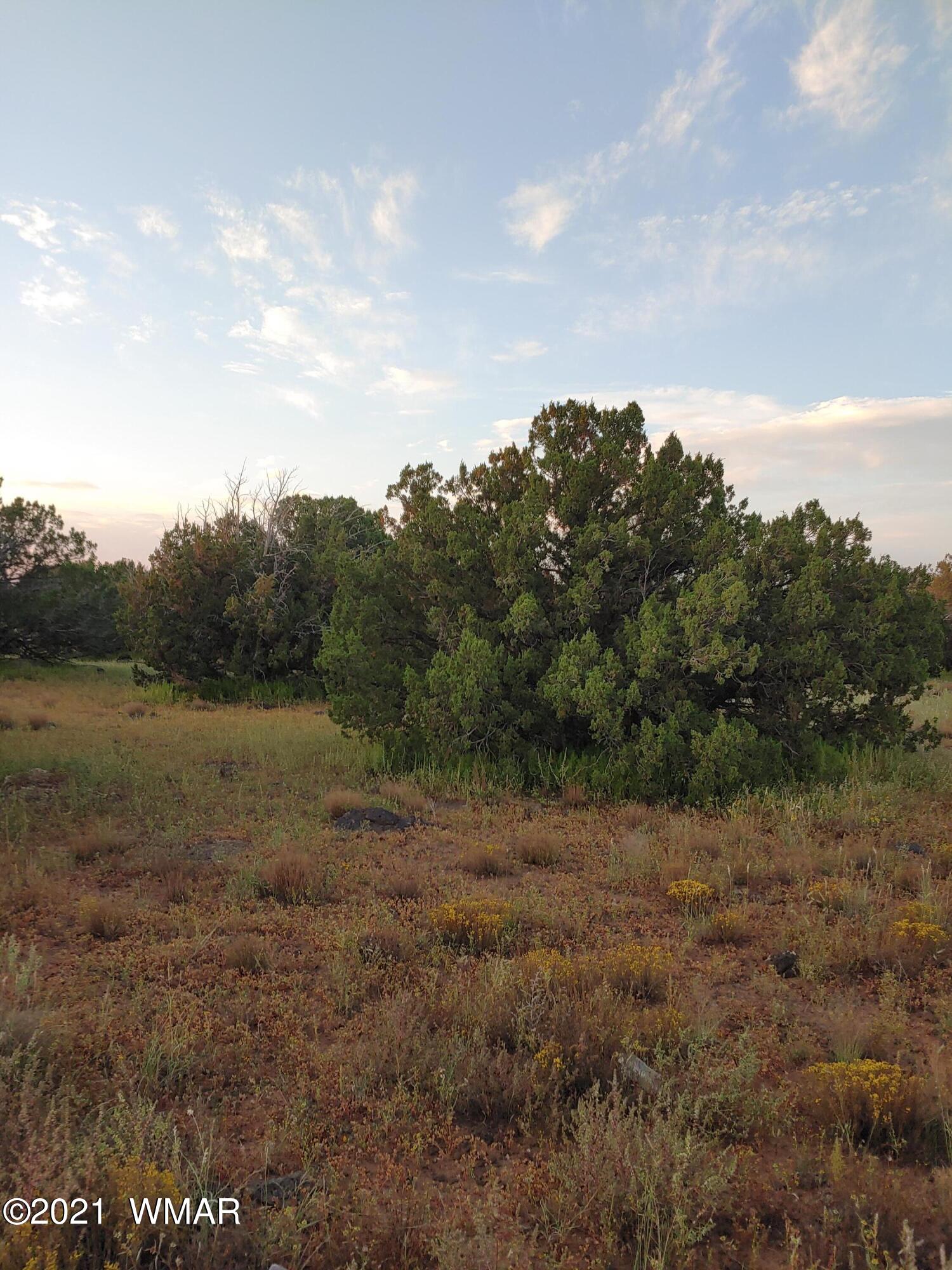 Tbd Weber Way Show Low, AZ 85901 - Photo 8 of 17