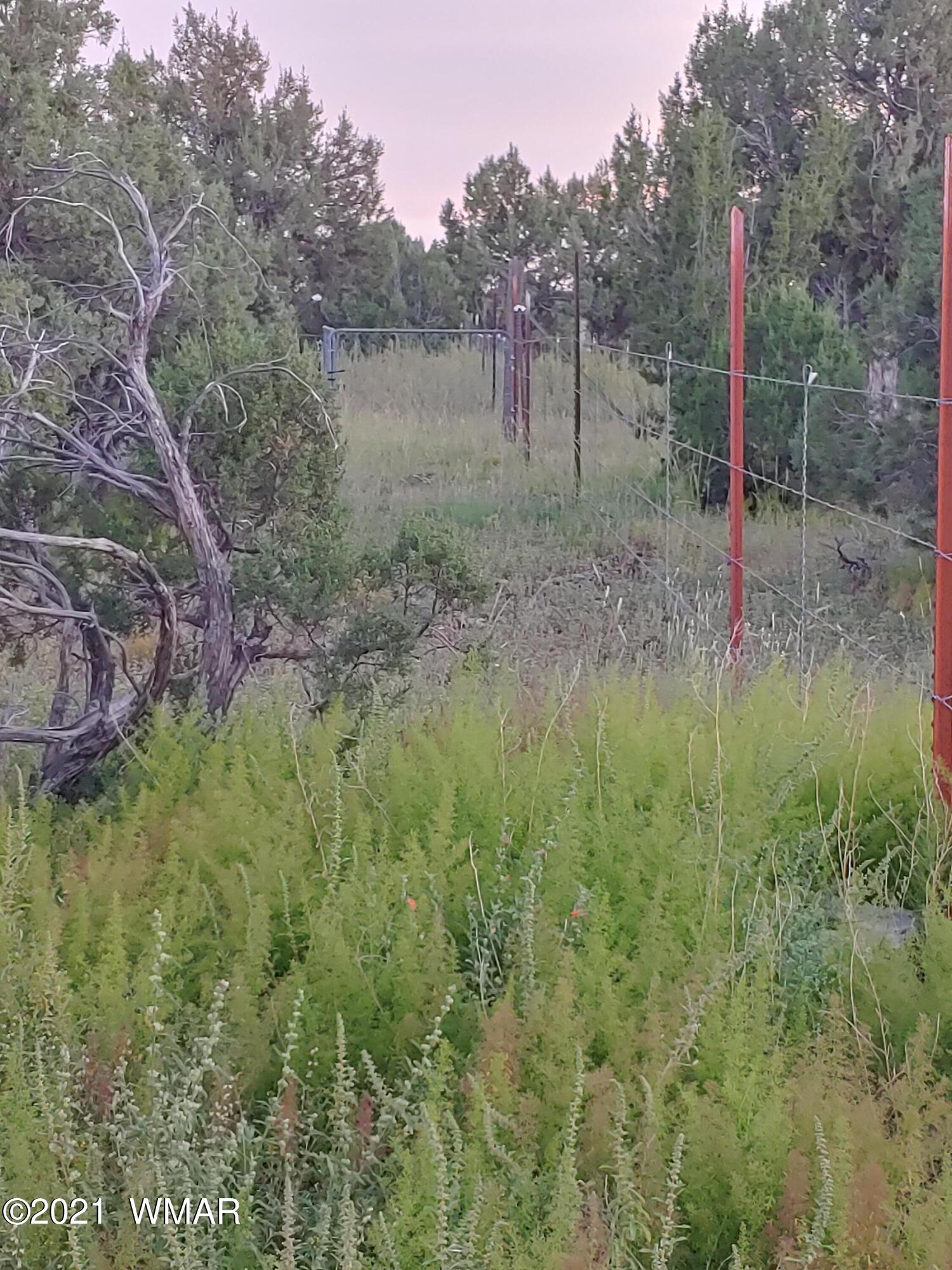 Tbd Weber Way Show Low, AZ 85901 - Photo 10 of 17