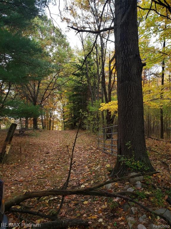 2 Wiggins Road Howell, MI 48855 - Photo 5 of 21