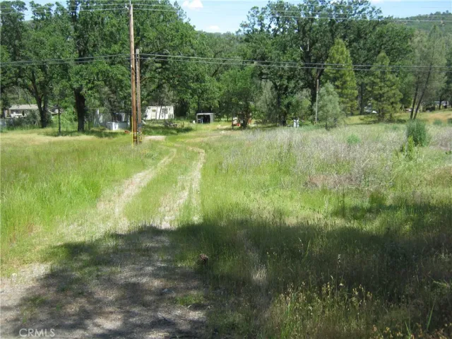 a view of a golf course
