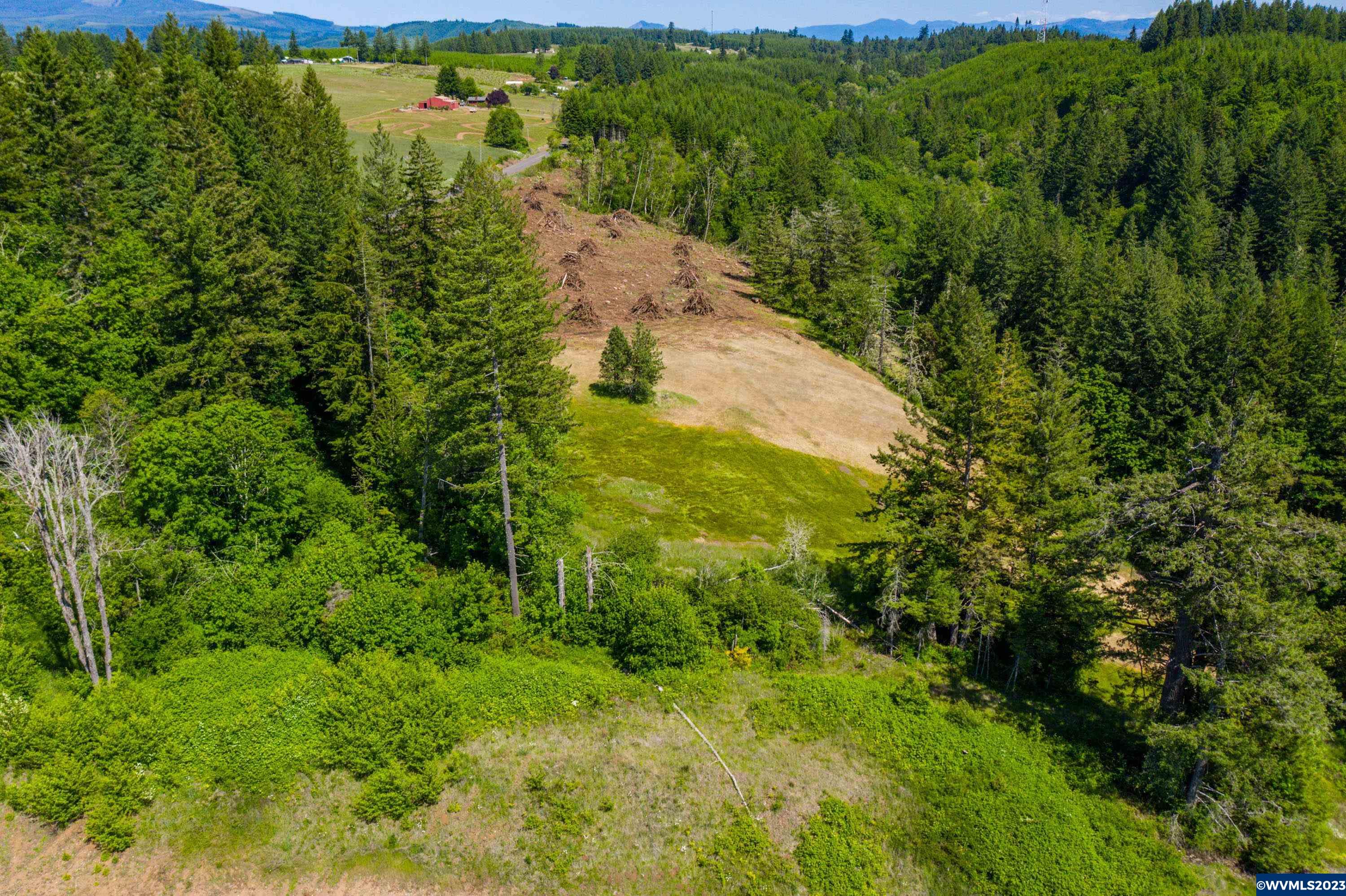 Marks Ridge Sweet Home, OR 97386 - Photo 14 of 32