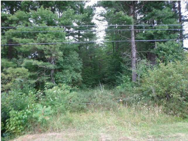 59 Pine Tree Road Smithfield, ME 04978 - Photo 7 of 9 Land/Lot.