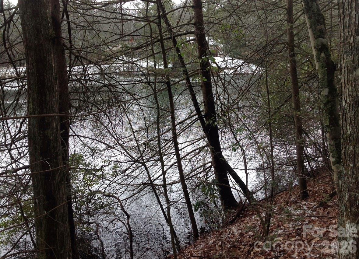 0 Deer Park Lake Road Spruce Pine, NC 28777 - Photo 16 of 24 a picture of tree