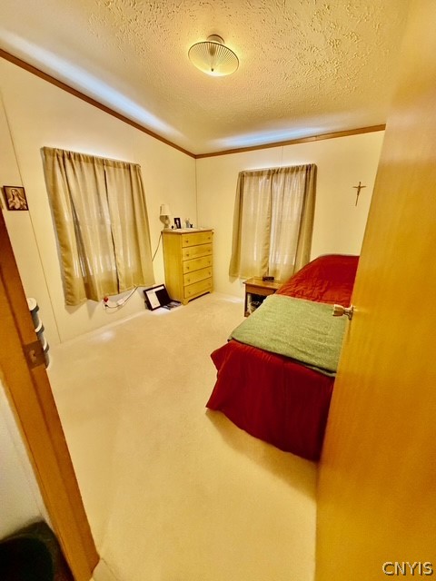 338 County Rte 11 West Monroe, NY 13167 - Photo 14 of 23