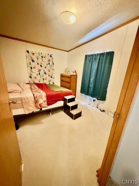 338 County Rte 11 West Monroe, NY 13167 - Photo 15 of 23