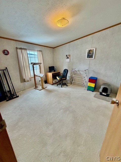 338 County Rte 11 West Monroe, NY 13167 - Photo 4 of 23