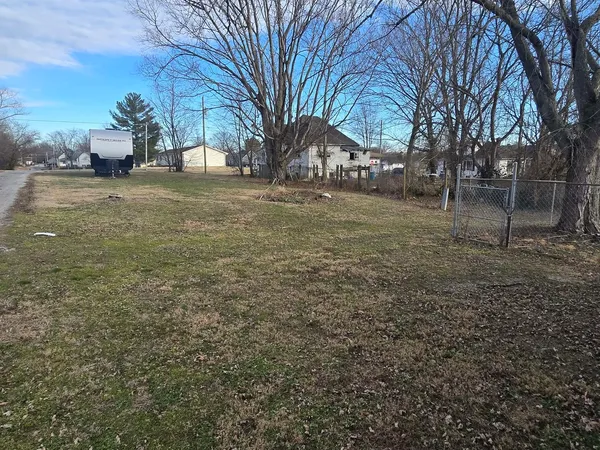 a view of yard with trees
