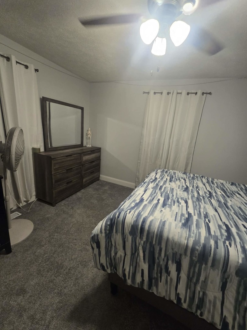 306 South Thomas Street Christopher, IL 62822 - Photo 29 of 31