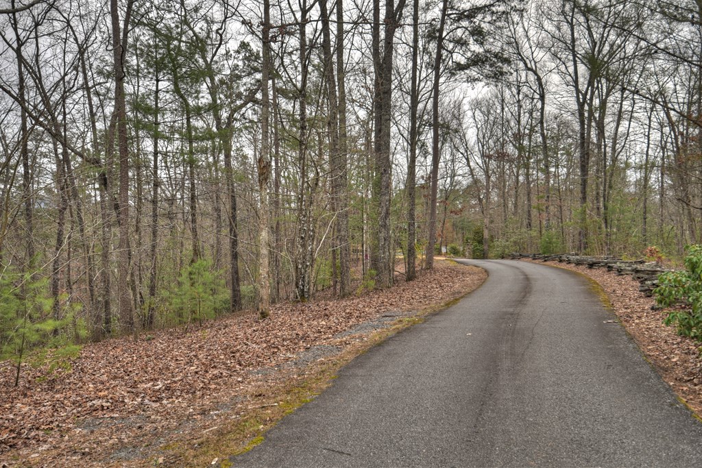 2.56-ac Trackside Lane Blue Ridge, GA 30513 - Photo 14 of 26
