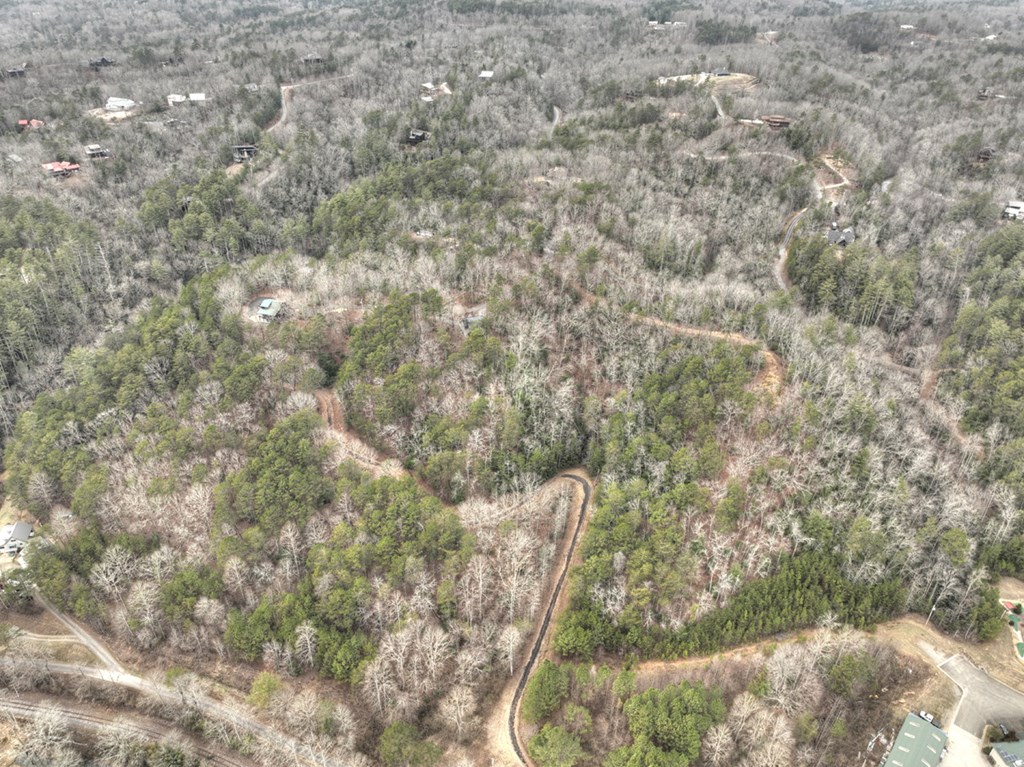 2.56-ac Trackside Lane Blue Ridge, GA 30513 - Photo 15 of 26