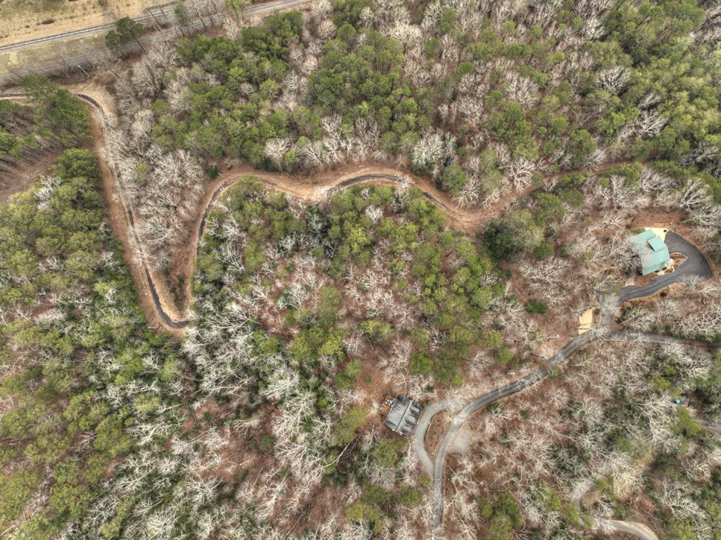 2.56-ac Trackside Lane Blue Ridge, GA 30513 - Photo 17 of 26