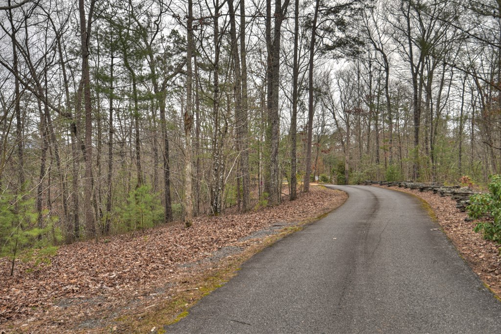 2.56-ac Trackside Lane Blue Ridge, GA 30513 - Photo 18 of 26