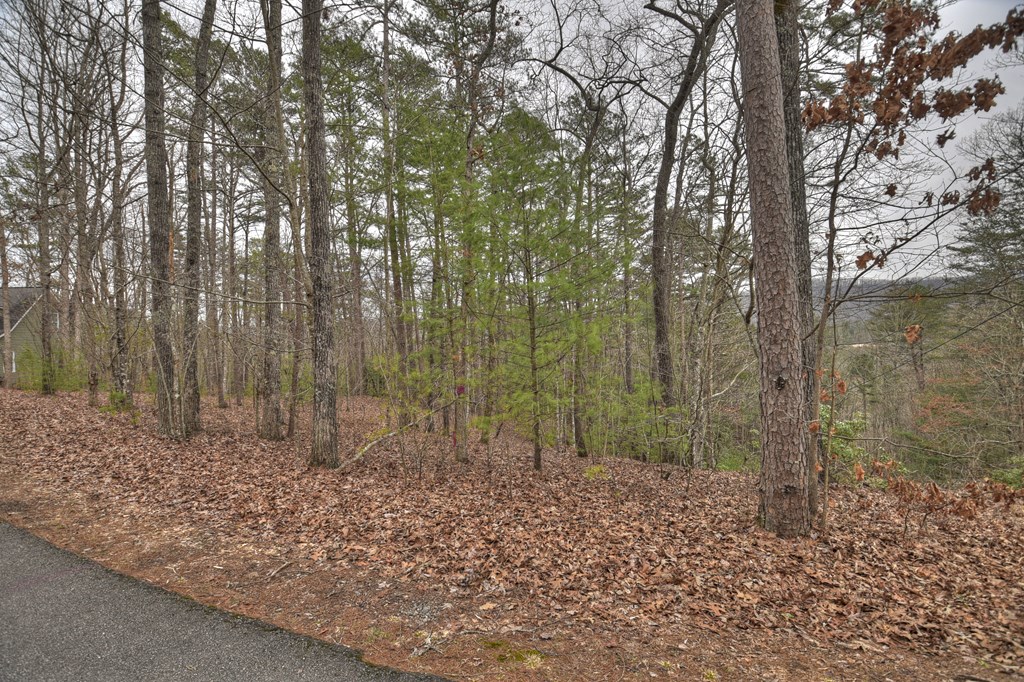 2.56-ac Trackside Lane Blue Ridge, GA 30513 - Photo 21 of 26