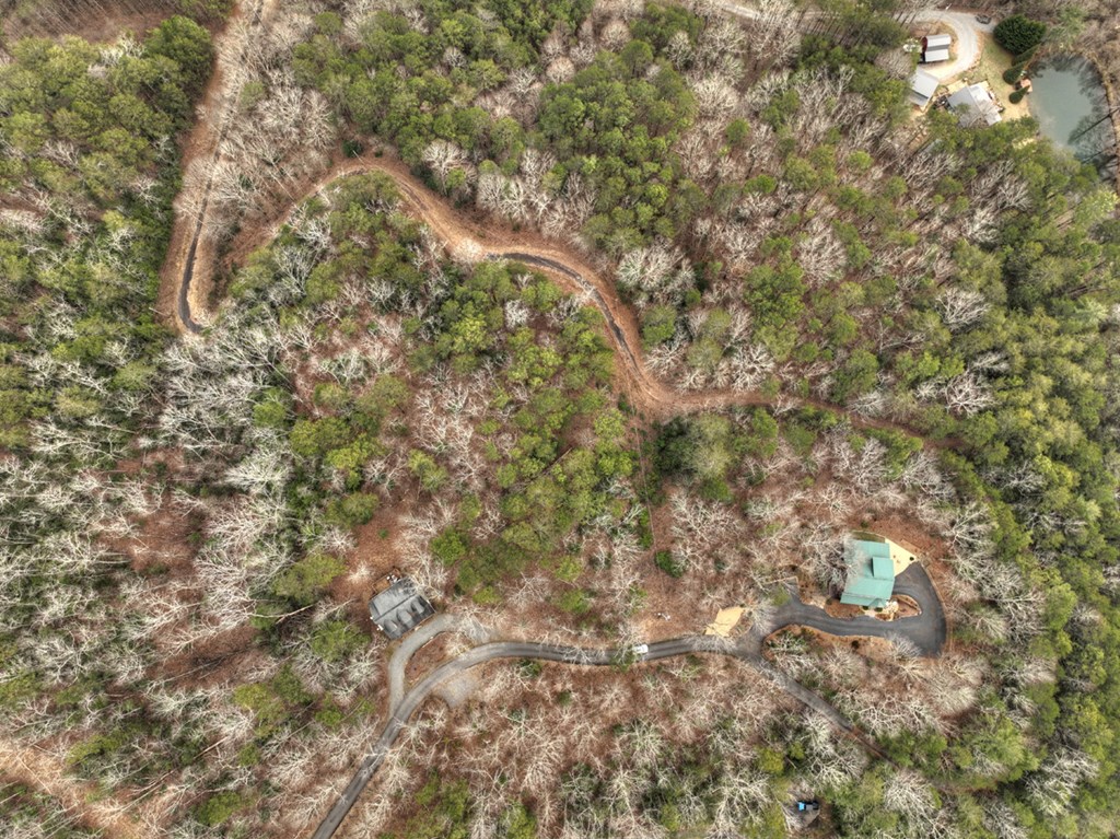 2.56-ac Trackside Lane Blue Ridge, GA 30513 - Photo 22 of 26