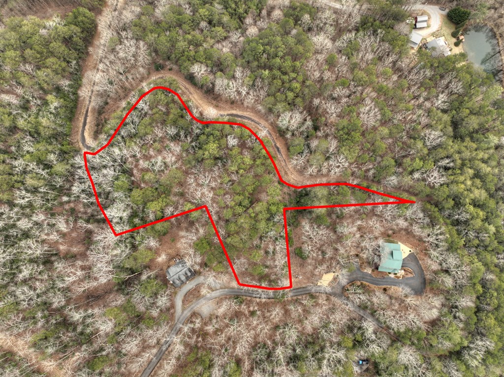 2.56-ac Trackside Lane Blue Ridge, GA 30513 - Photo 25 of 26