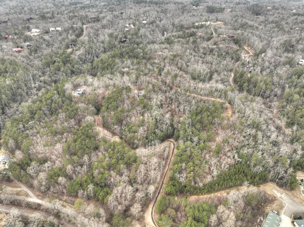 2.56-ac Trackside Lane Blue Ridge, GA 30513 - Photo 5 of 26